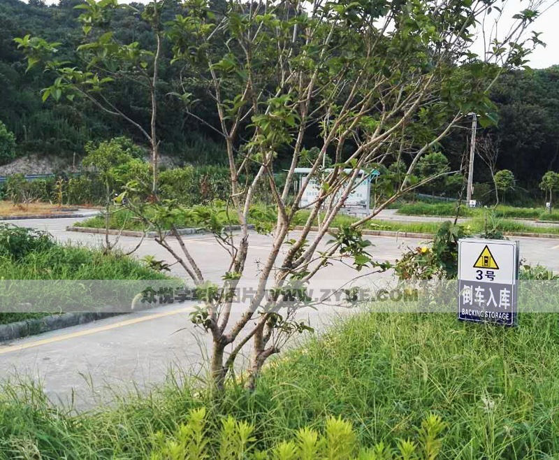 宁波海涛驾校倒车入库场地